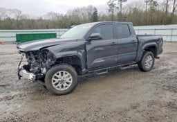 Picture of 2025 Toyota Tacoma