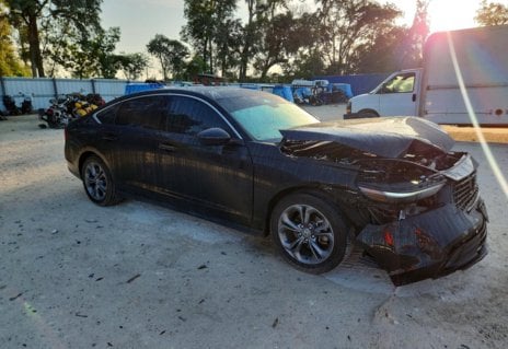 Picture of 2024 Honda Accord
