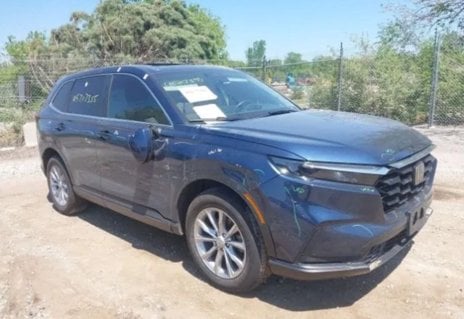 Picture of 2024 Honda CR-V