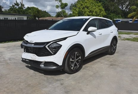 Picture of 2025 Kia Sportage