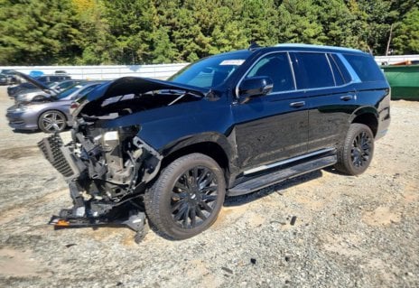 Picture of 2023 Cadillac Escalade