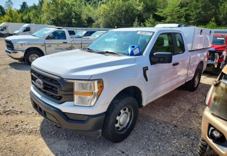 Picture of 2021 Ford F-150
