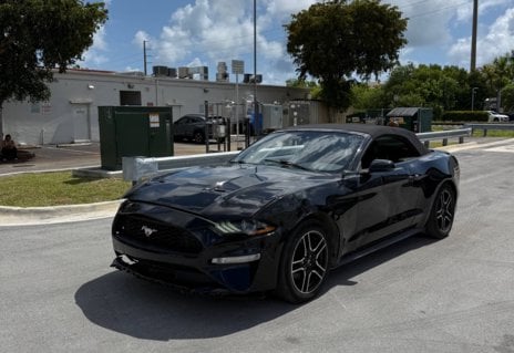 Picture of 2020 Ford Mustang