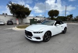 Picture of 2024 Ford Mustang