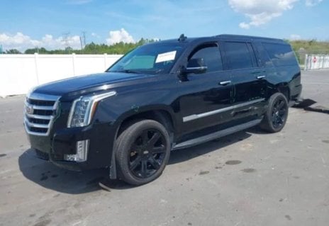 Picture of 2019 Cadillac Escalade ESV
