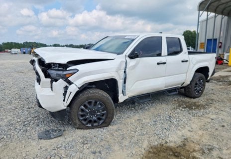 Picture of 2025 Toyota Tacoma