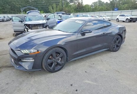 Picture of 2022 Ford Mustang