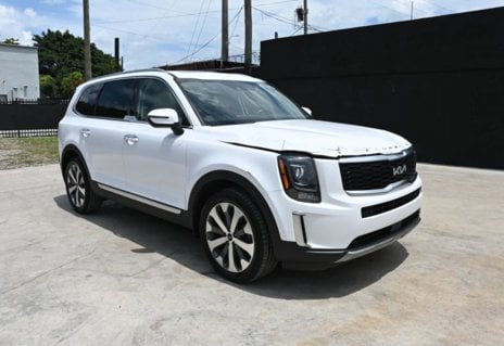 Picture of 2022 Kia Telluride