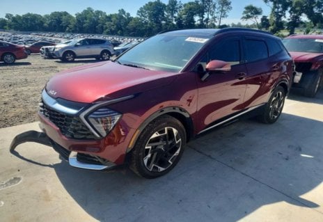 Picture of 2025 Kia Sportage