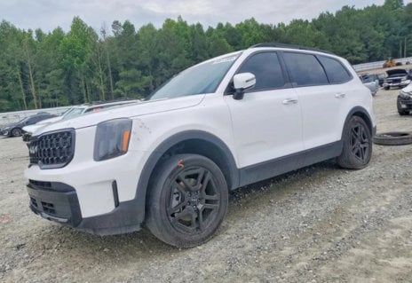Picture of 2024 Kia Telluride