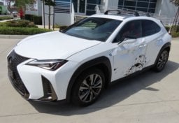 2019 Lexus UX 200 F Sport - Image 2