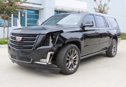 2020 Cadillac Escalade ESV Platinum - Image 4