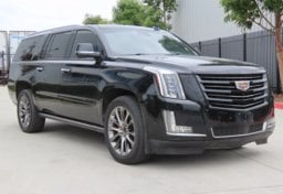 2020 Cadillac Escalade ESV Platinum - Image 3