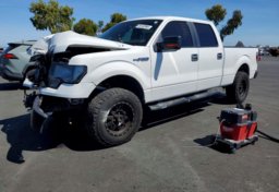 2014 Ford F-150 - Image 1