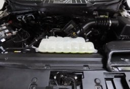 2025 Ford F-150 XL - Image 40