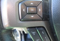 2017 Ford F-150 RAPTOR - Image 34