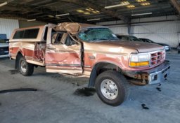 1995 Ford F-250 - Image 2