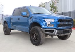 2019 Ford F-150 Raptor - Image 4