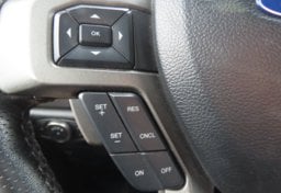 2019 Ford F-150 Raptor - Image 30