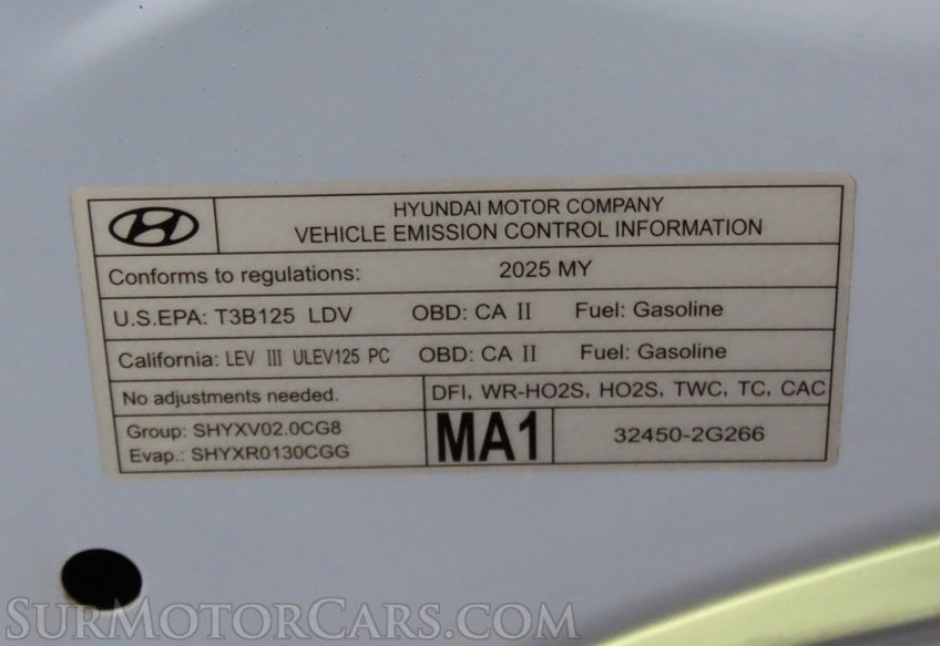 2025 Hyundai ELANTRA N - Image 30