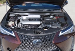 2019 Lexus UX 200 - Image 47