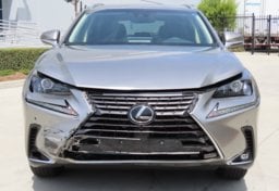 2019 Lexus NX 300 - Image 12