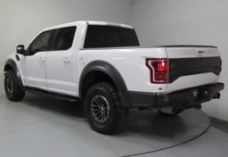 2019 Ford F-150 Raptor - Image 8