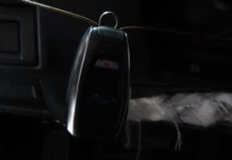 2025 Subaru Outback Limited - Image 22