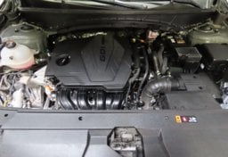 2025 Hyundai SANTA CRUZ SEL Activity - Image 37