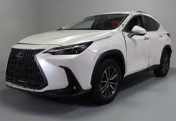 2024 Lexus NX 350h Premium - Image 3