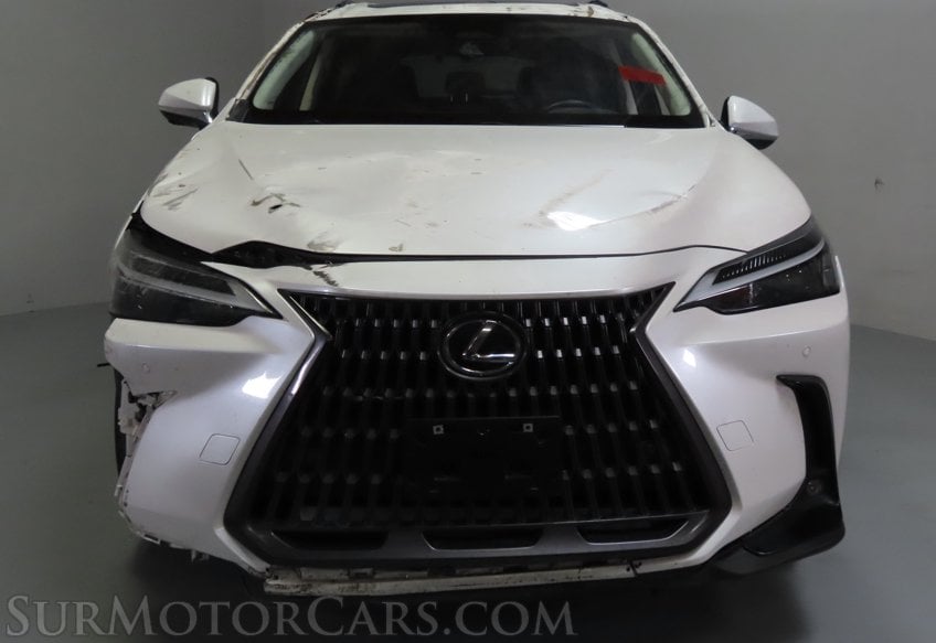2024 Lexus NX 350h Premium - Image 12