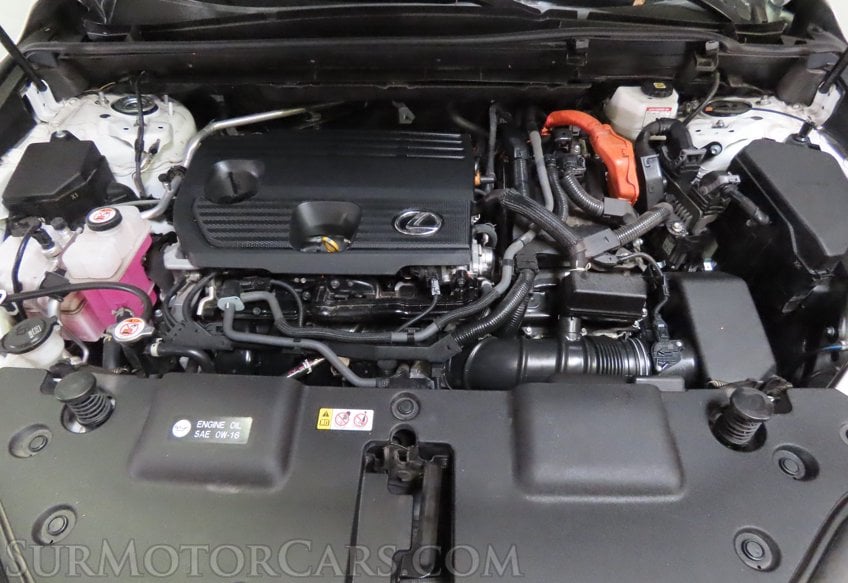 2024 Lexus NX 350h Premium - Image 39